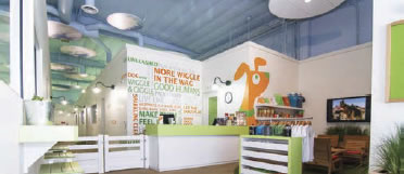 boutique dog shop